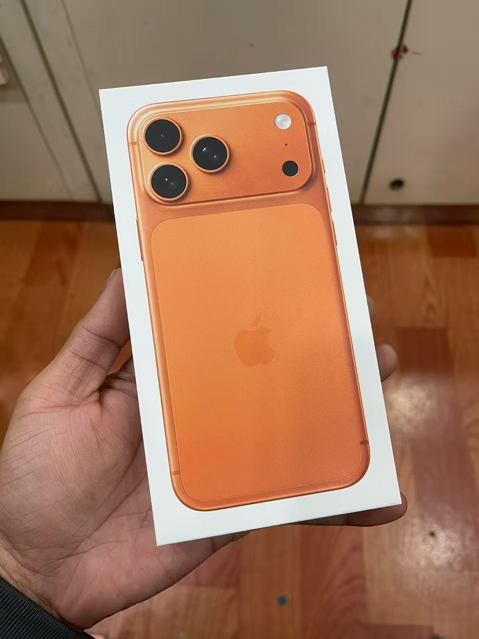 Apple 17 Pro Max