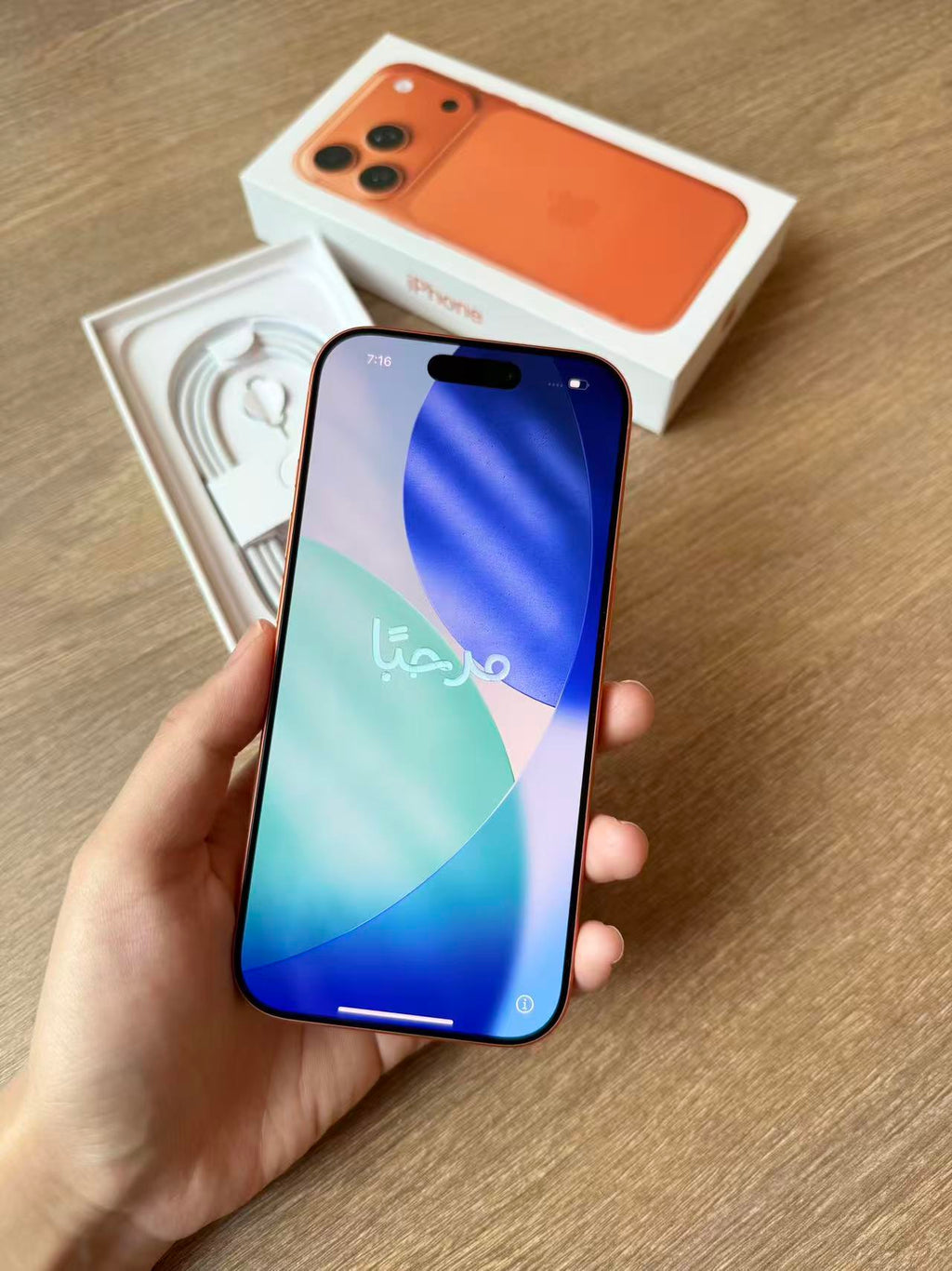 iPhone 17 por